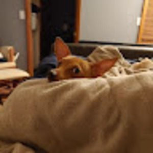 Meet your Posher, Brad